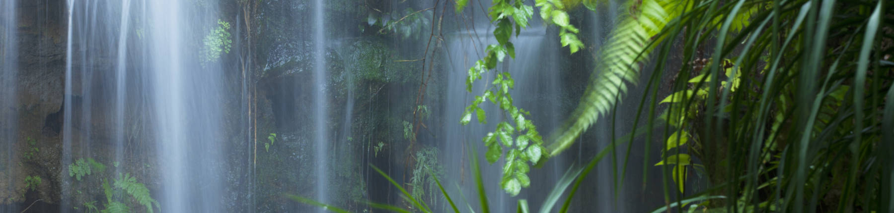 Wasserfall Steuer-Dschungel Gerdes & Kollegen Bremen
